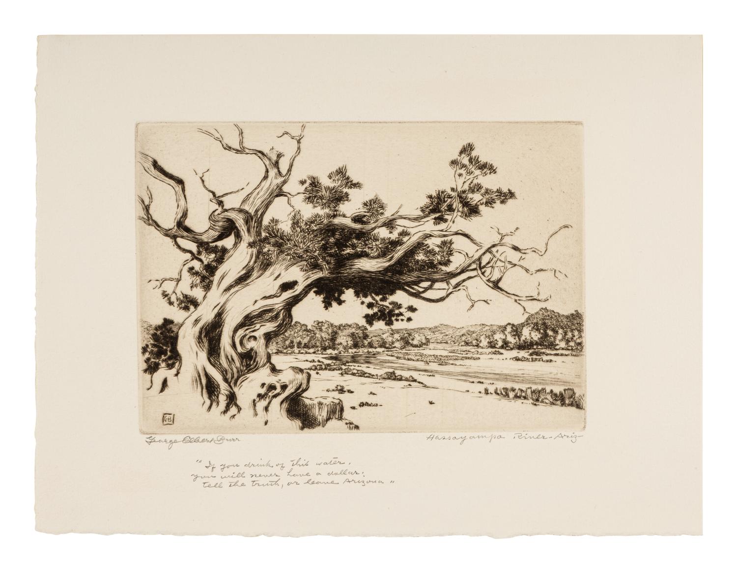 Two Works: Pine and Clouds and Hassayampa River- Arizona