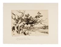 Two Works: Pine and Clouds and Hassayampa River- Arizona