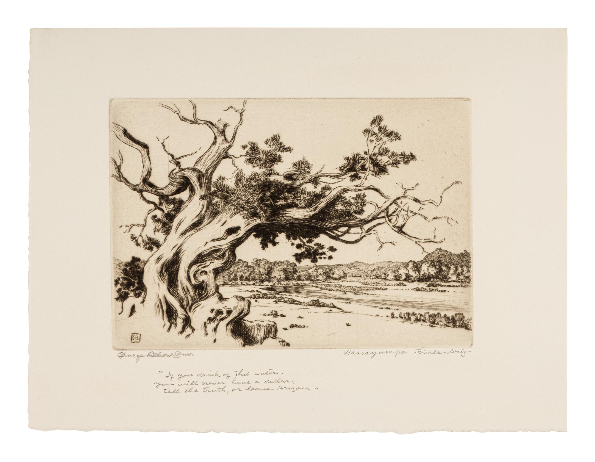 Two Works: Pine and Clouds and Hassayampa River- Arizona