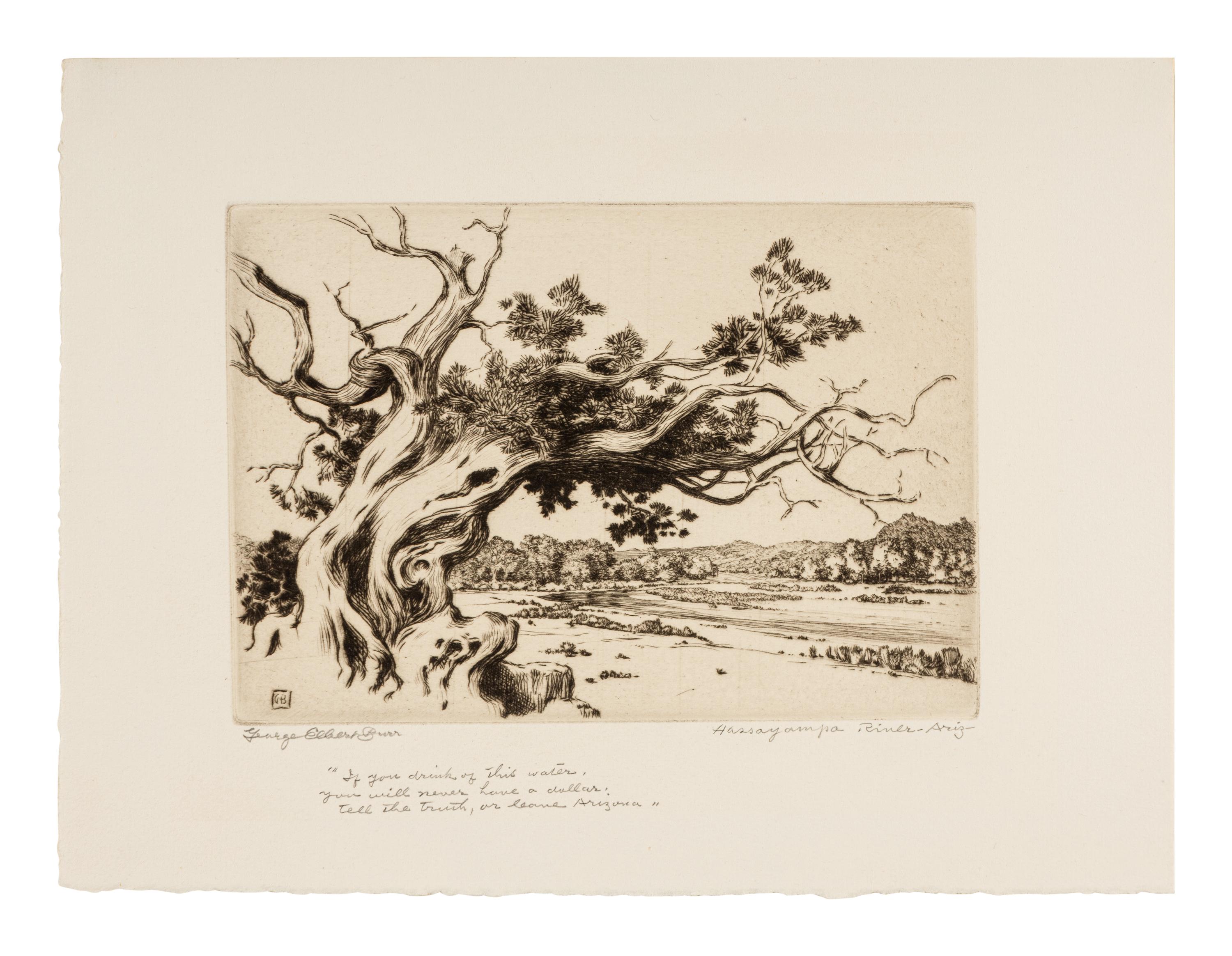 Two Works: Pine and Clouds and Hassayampa River- Arizona