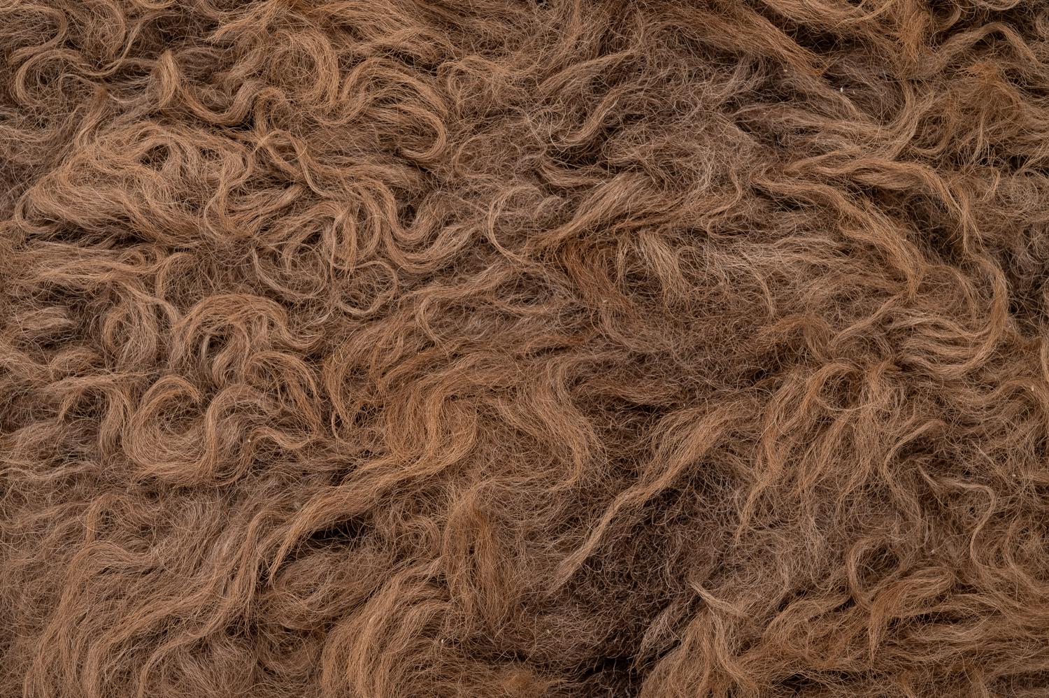 A Buffalo Hide Rug