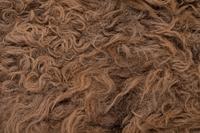 A Buffalo Hide Rug