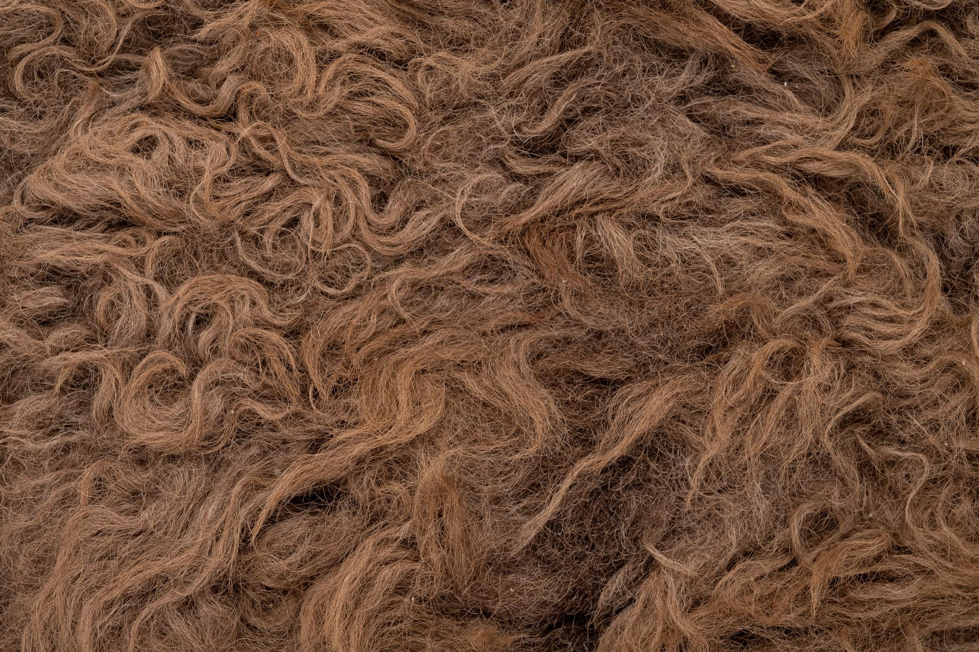 A Buffalo Hide Rug