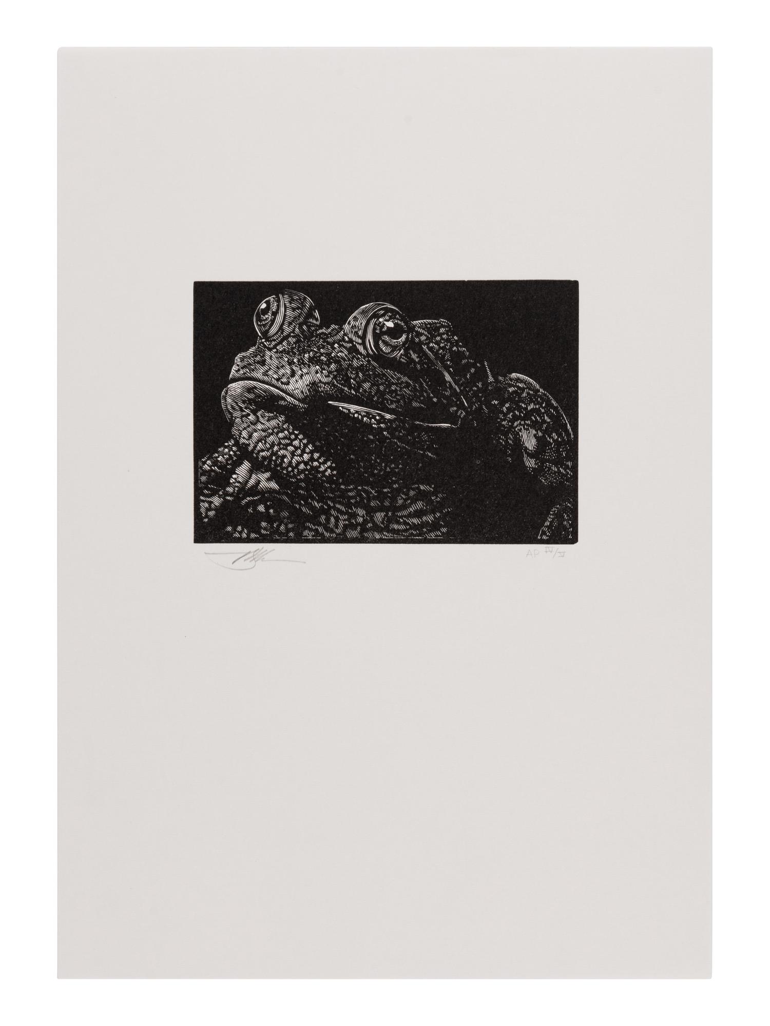 [MOSER, Barry, illustrator]. [CLEMENS, Samuel Langhorne (1835-1910)]. Mark Twain’s Book of Animals. Edited with Introduction, Afterward, & Notes by Shelley Fisher Fishkin. Illustrations by Barry Moser . Berkeley, CA: University of California Press, [2010].