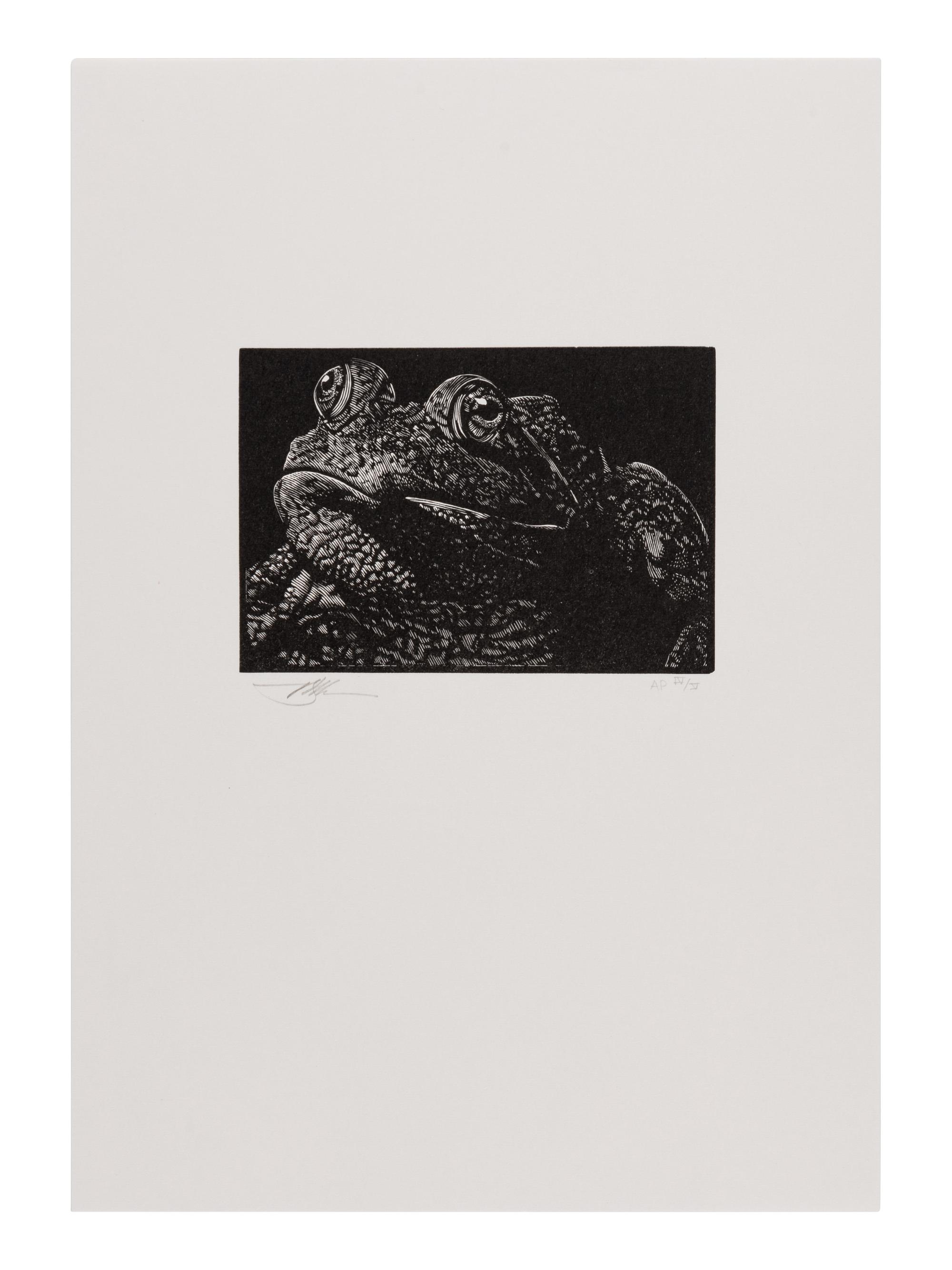 [MOSER, Barry, illustrator]. [CLEMENS, Samuel Langhorne (1835-1910)]. Mark Twain’s Book of Animals. Edited with Introduction, Afterward, & Notes by Shelley Fisher Fishkin. Illustrations by Barry Moser . Berkeley, CA: University of California Press, [2010].