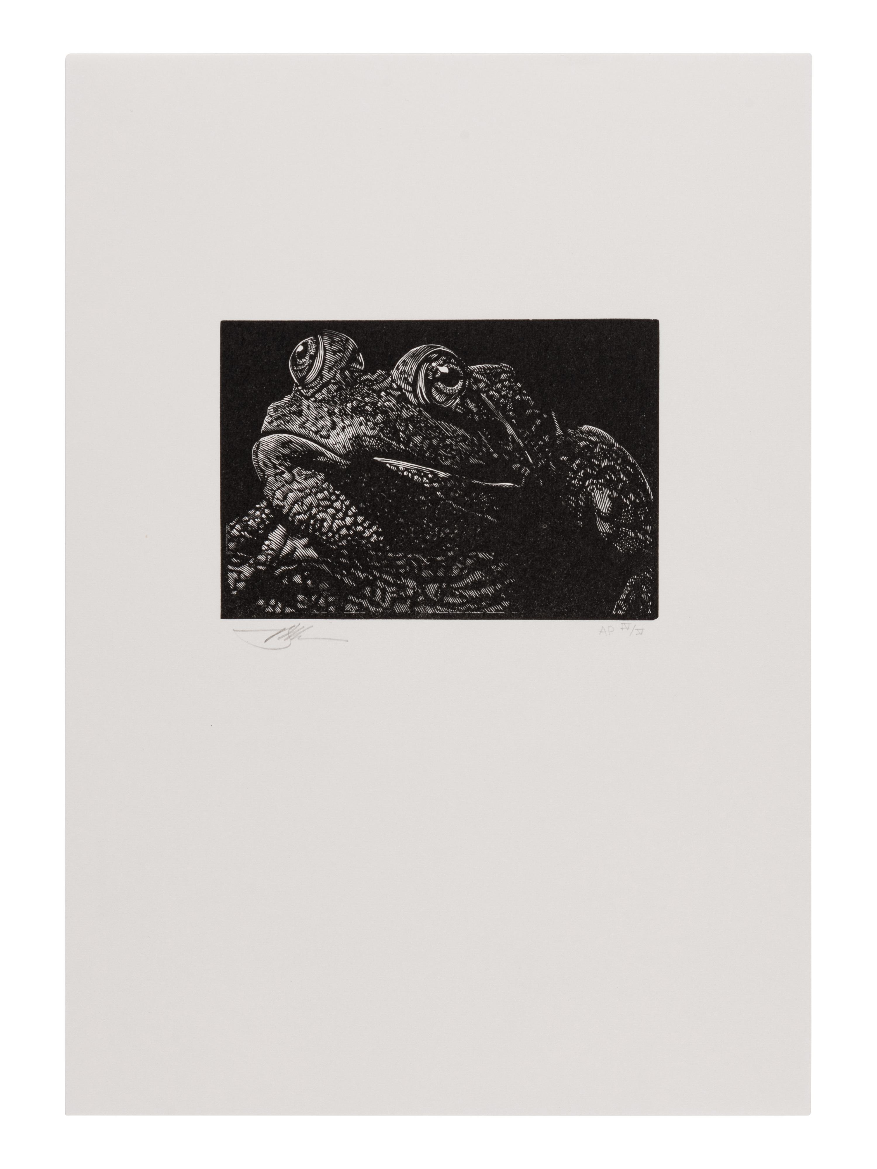 [MOSER, Barry, illustrator]. [CLEMENS, Samuel Langhorne (1835-1910)]. Mark Twain’s Book of Animals. Edited with Introduction, Afterward, & Notes by Shelley Fisher Fishkin. Illustrations by Barry Moser . Berkeley, CA: University of California Press, [2010].