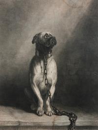 Five Works of Art depicting Mastiffs Largest: 12 1/4 x 9 1/4 inches.