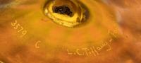 Trumpet Vase