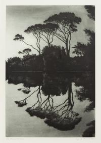Mirrored Trees