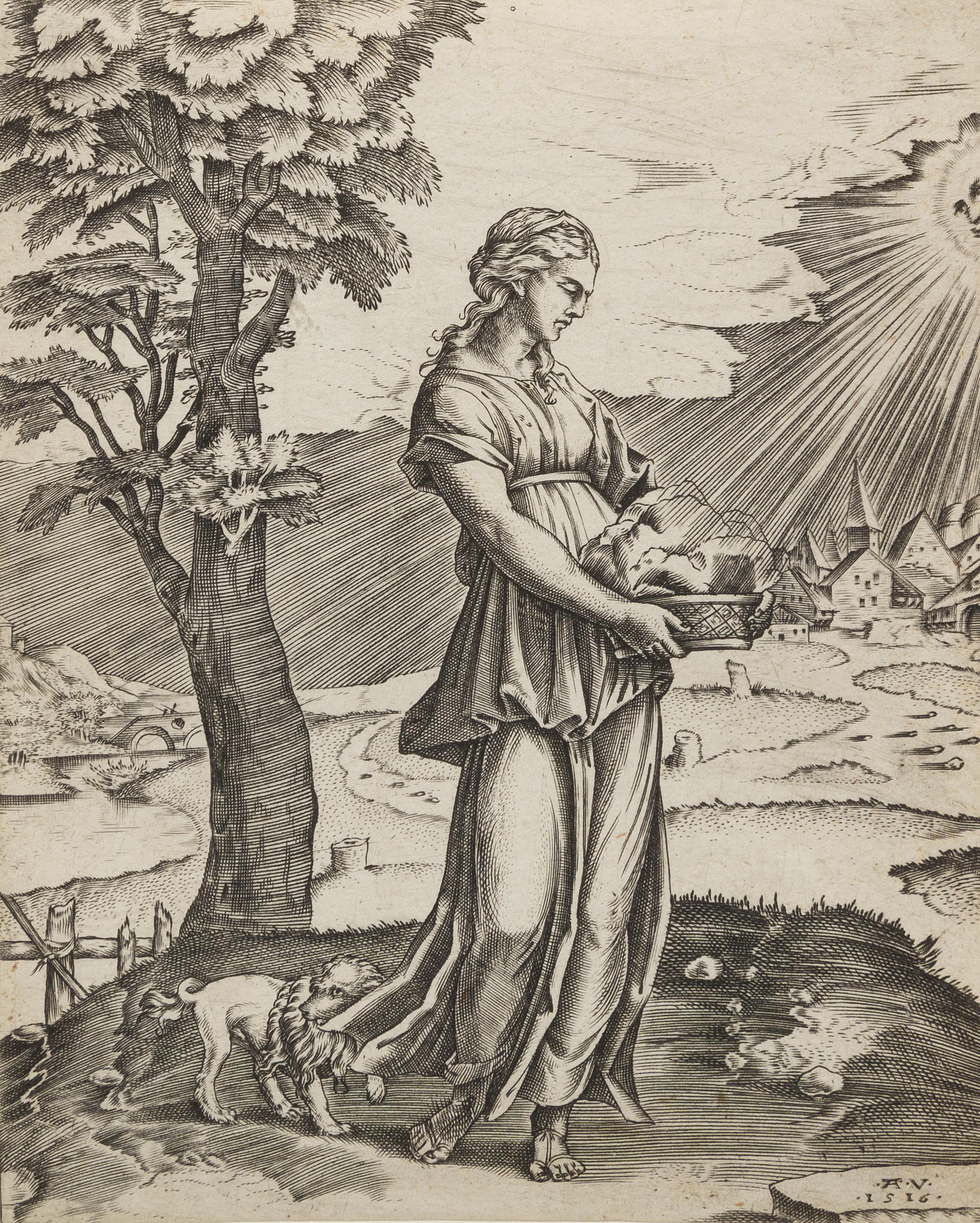 Agostino Veneziano, (Italian, c.1490-1540), The Cumaean Sibyl, 1516