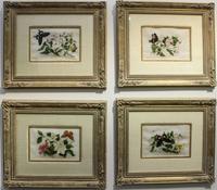 A Group of Four Chinese Export Pith Paintings