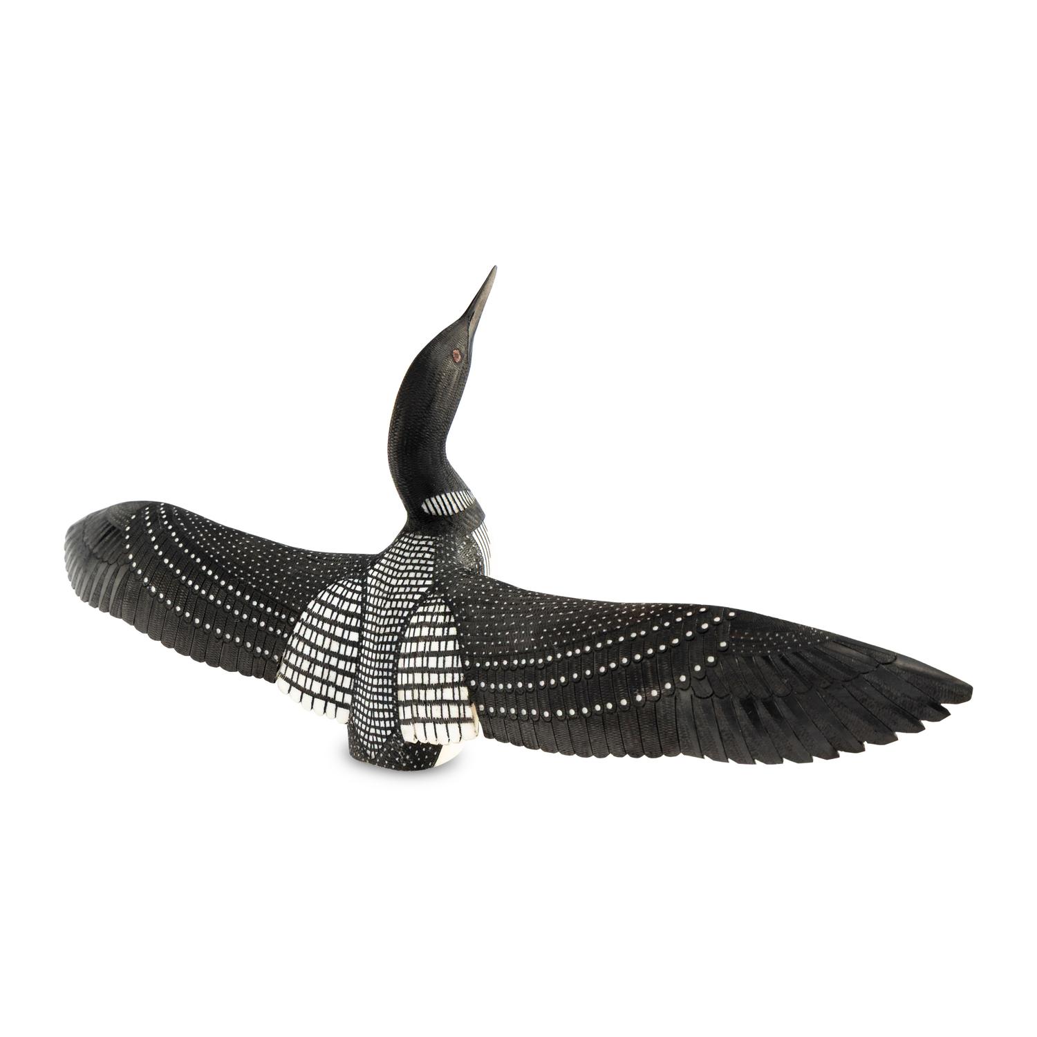 Common Loon