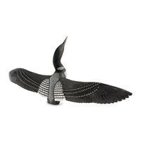 Common Loon
