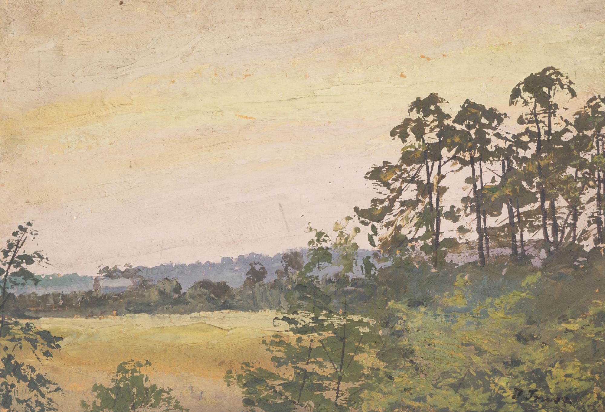 Forest Scene