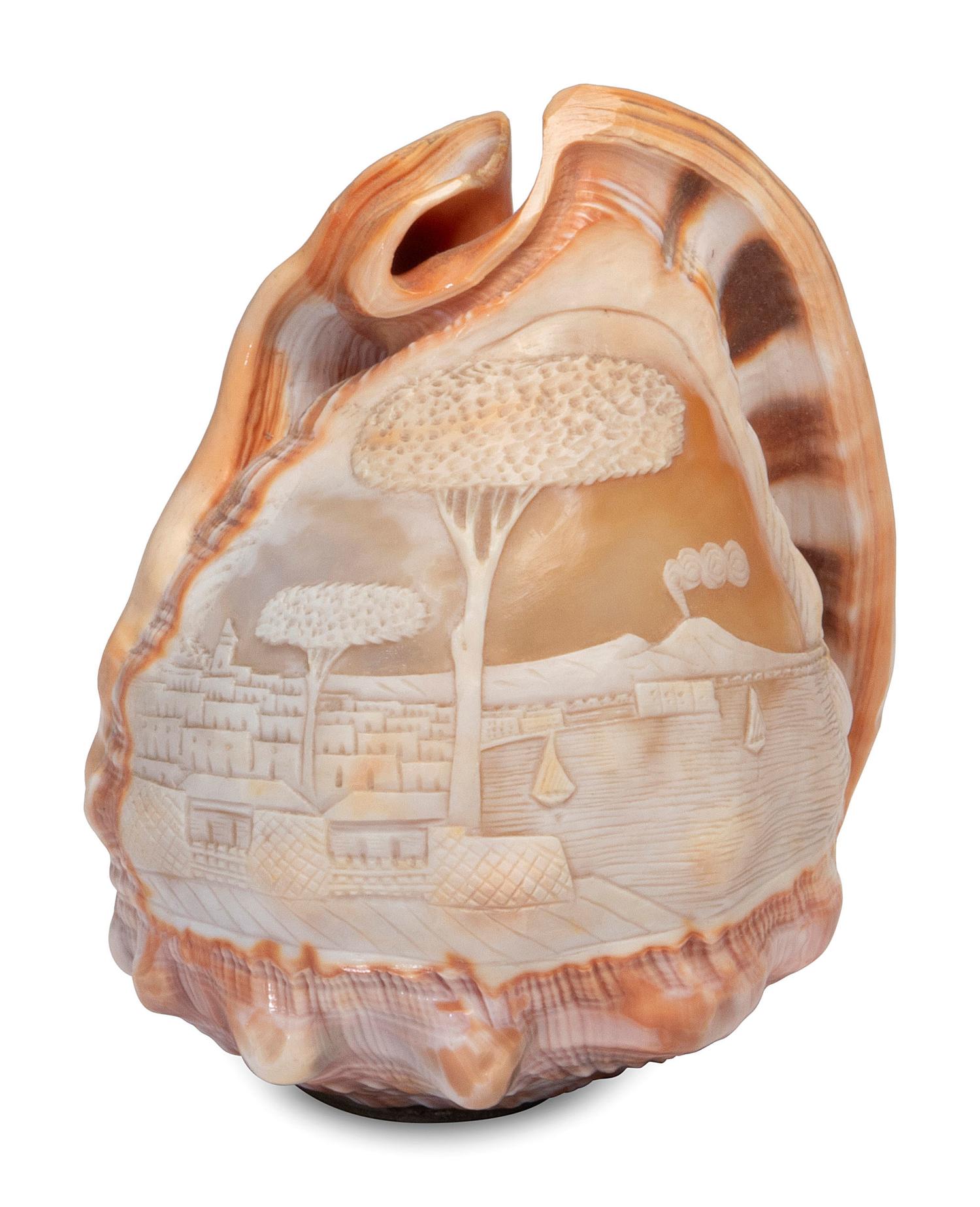 Five Carved Cowrie Shells