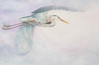 Carpe Diem - Great Blue Heron , 1994