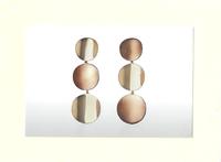 Sabbadini, Rose Gold and Steel Earrings