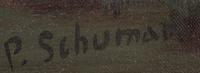 P. Schuman, , Landscape