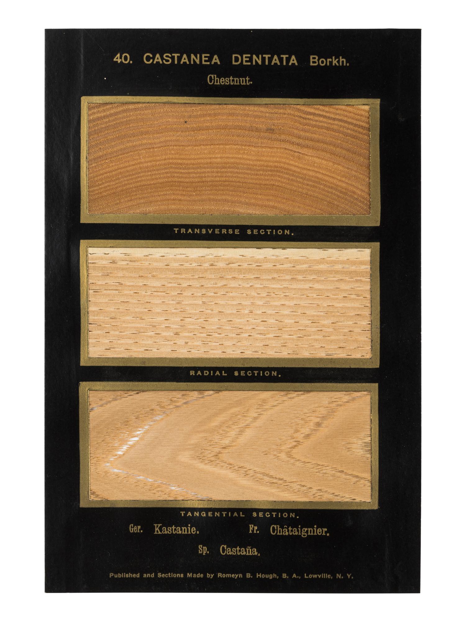 HOUGH, Romeyn Beck (1857-1924). American Woods illustrated by actual specimens: Commercial Species . Lowville, NY: prepared by the author, 1916.
