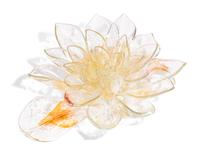 Lotus Flower, c. 2006