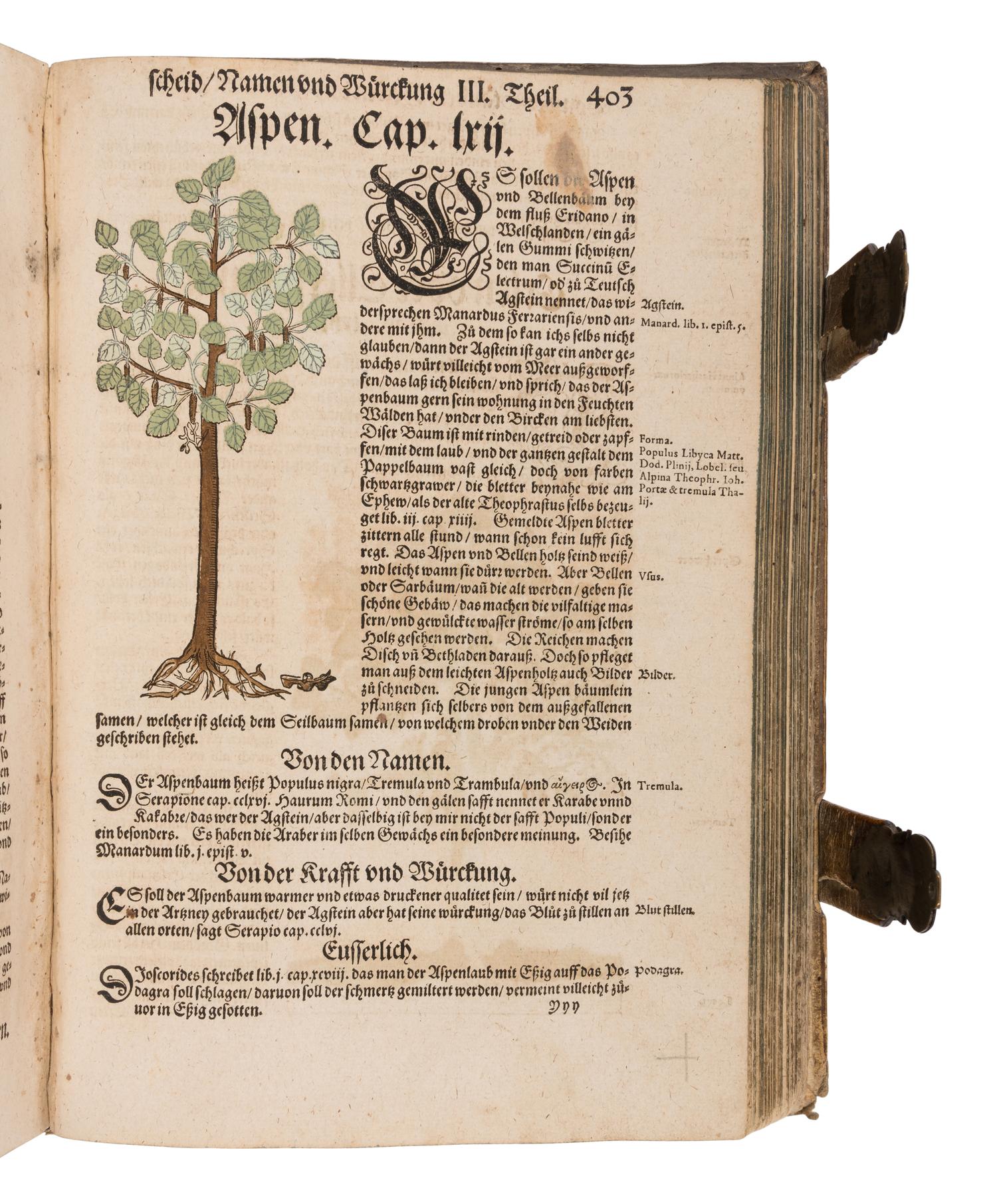 BOCK, Hieronymus (1489?-1554). Kreutterbuch. Strassburg: Josias Rihel, 28 August 1595.