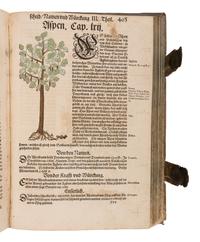 BOCK, Hieronymus (1489?-1554). Kreutterbuch. Strassburg: Josias Rihel, 28 August 1595.