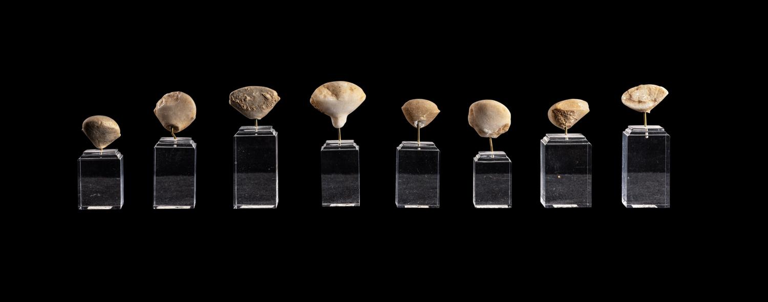 A Group of Eight Anatolian Marble Heads
