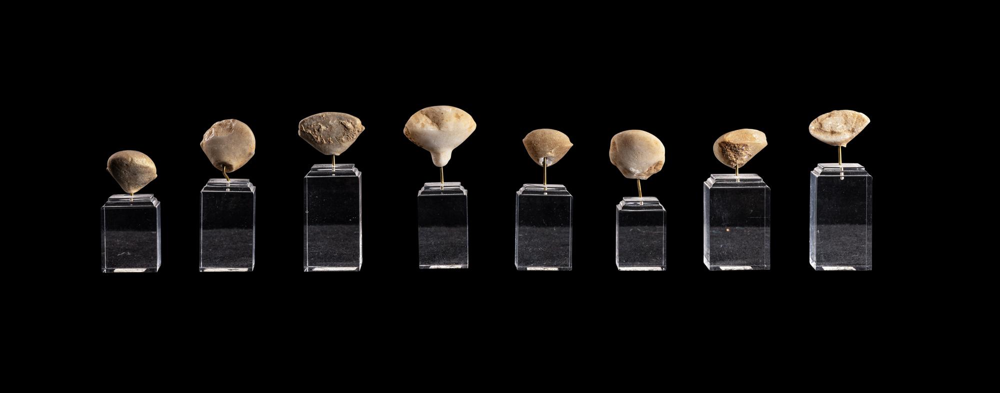 A Group of Eight Anatolian Marble Heads