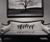 Untitled (Leaves Over Couch), 1987
