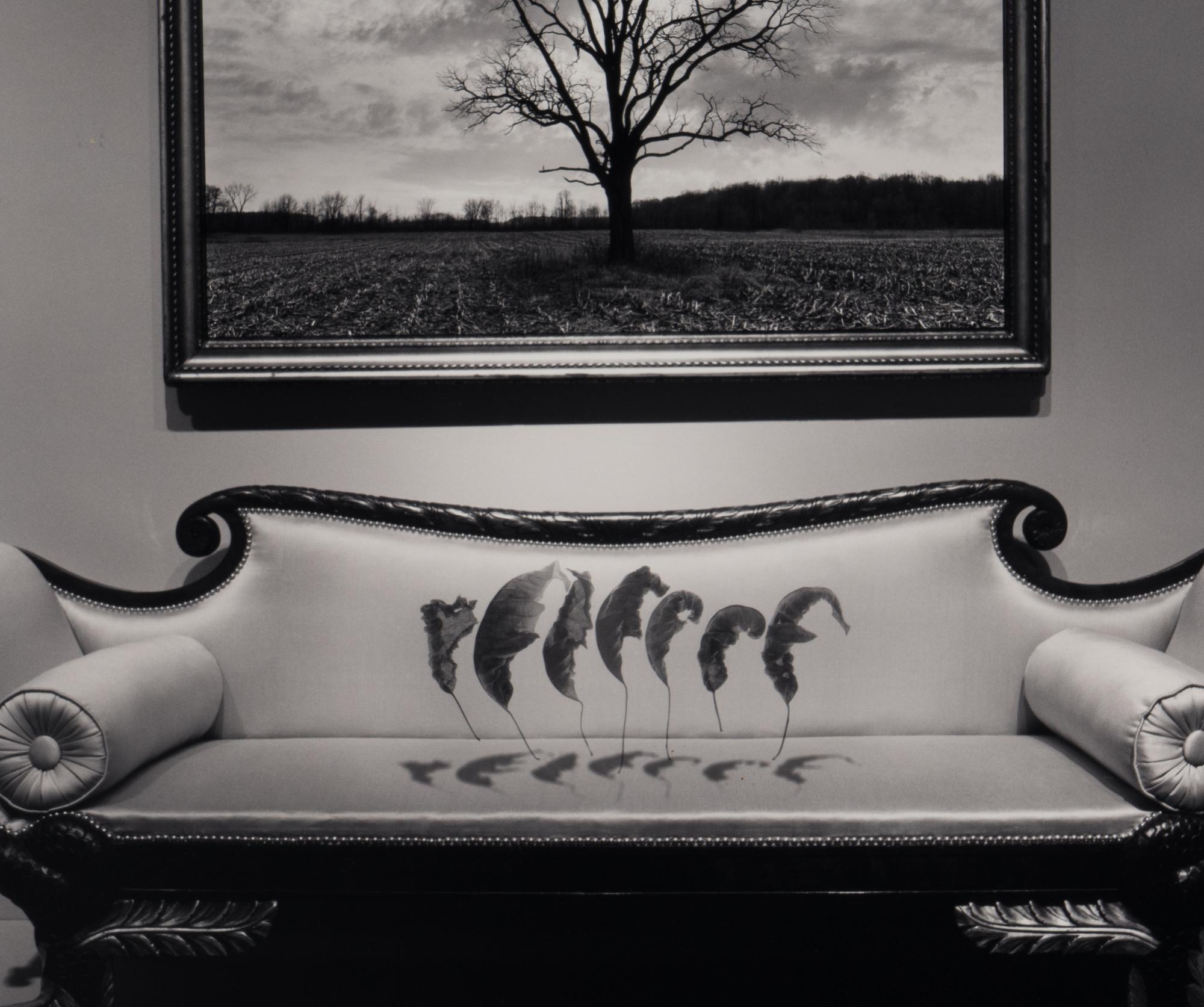 Untitled (Leaves Over Couch), 1987