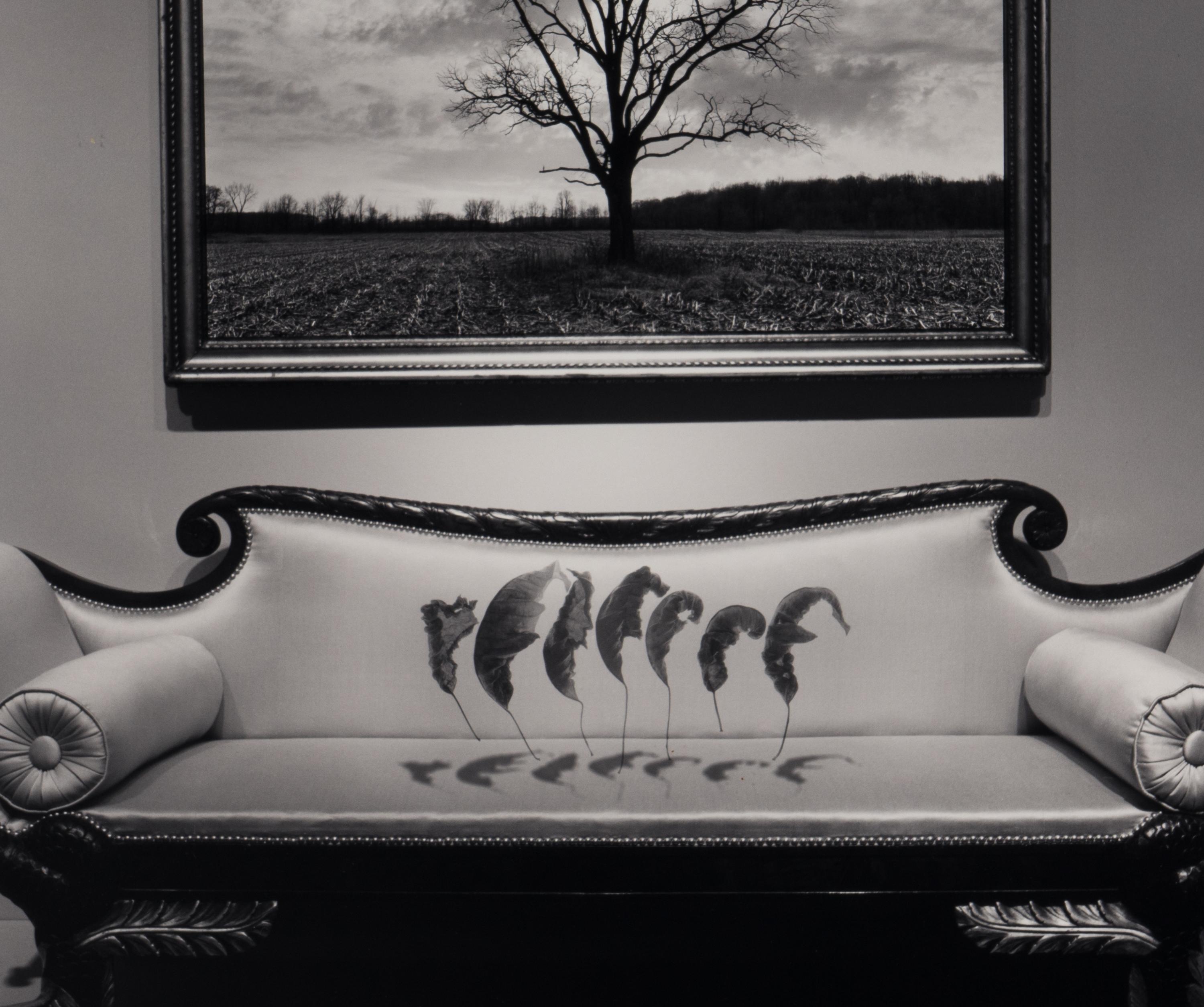Untitled (Leaves Over Couch), 1987
