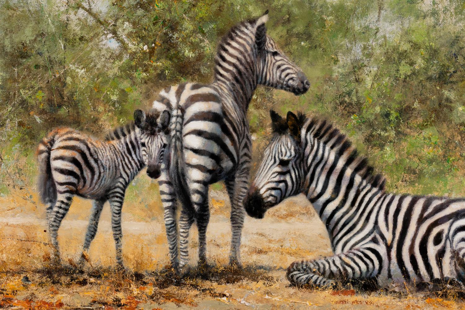 Three Zebras