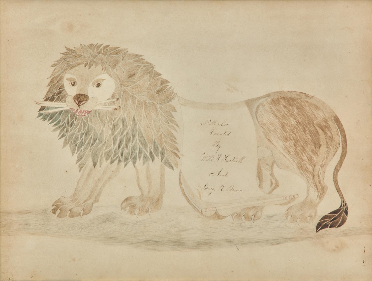 American School 19th Century, A Calligraphy Drawing of a Lion