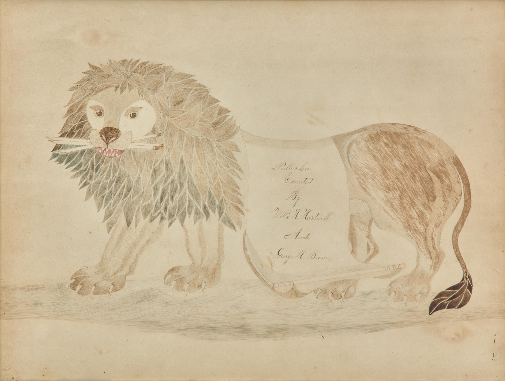 American School 19th Century, A Calligraphy Drawing of a Lion