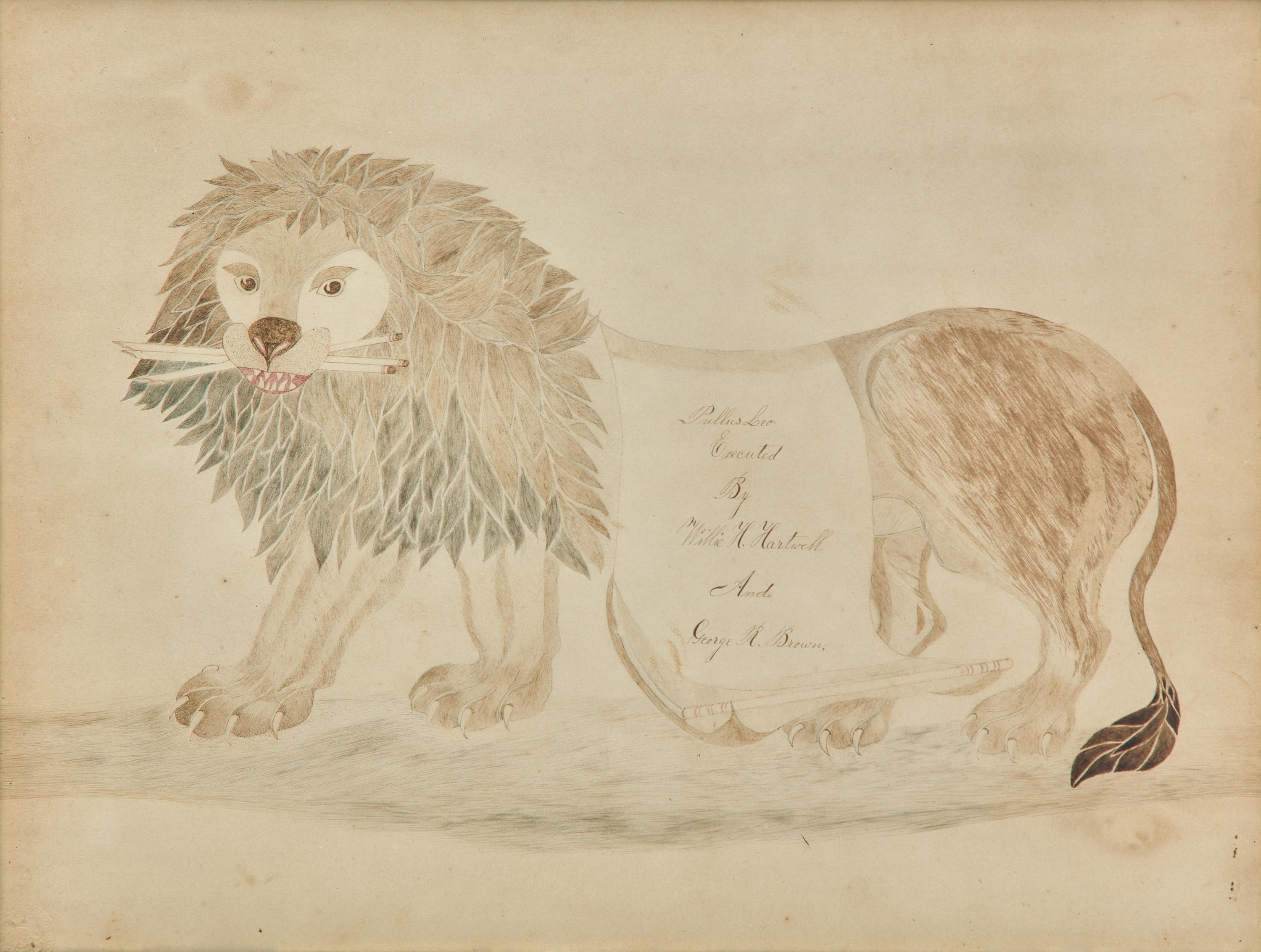 American School 19th Century, A Calligraphy Drawing of a Lion