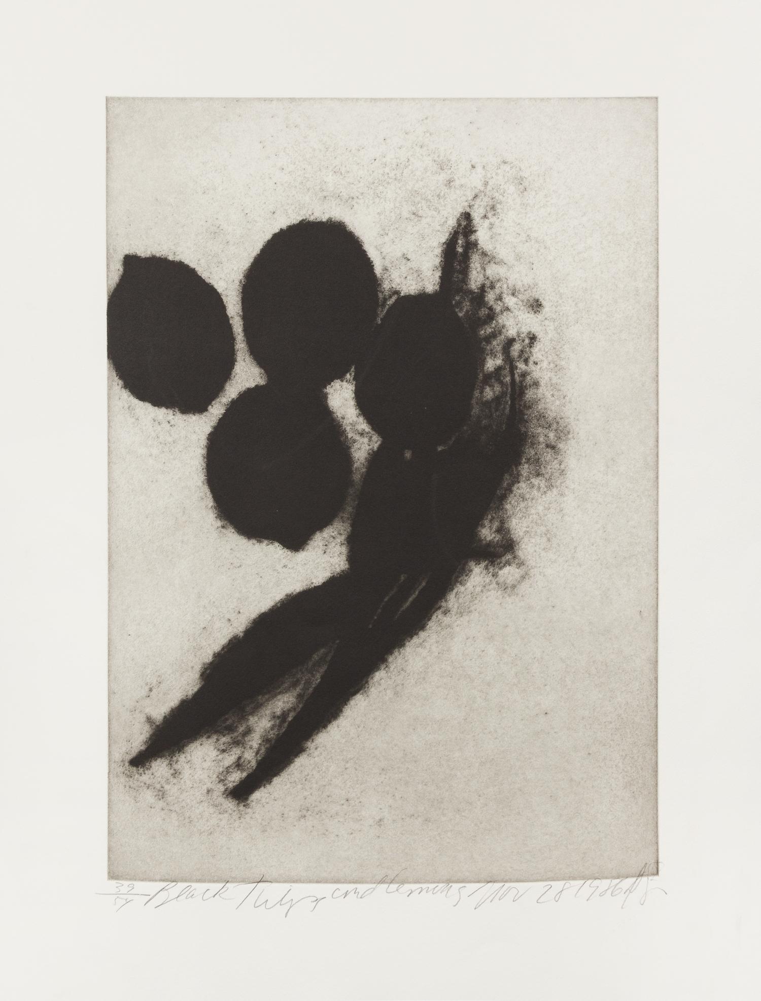 Donald Sultan, (American, 1951), Black Tulips and Lemons, 1986