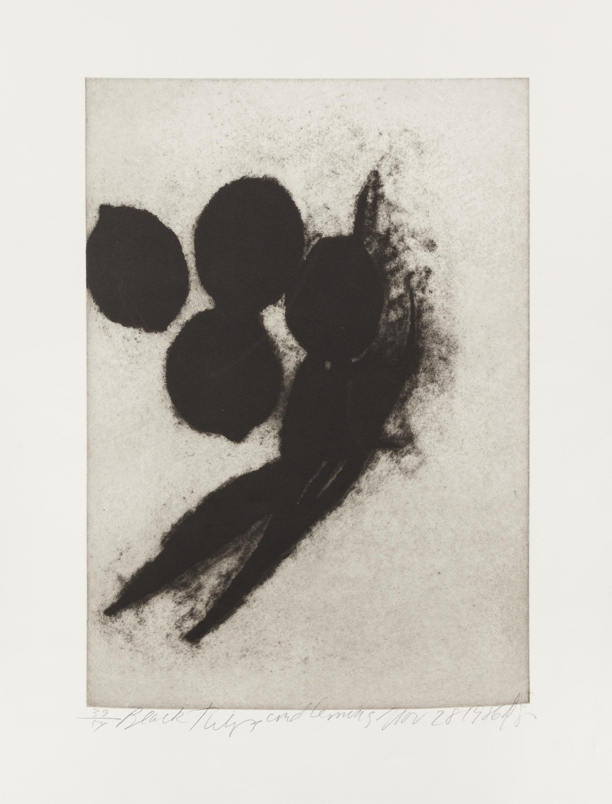 Donald Sultan, (American, 1951), Black Tulips and Lemons, 1986