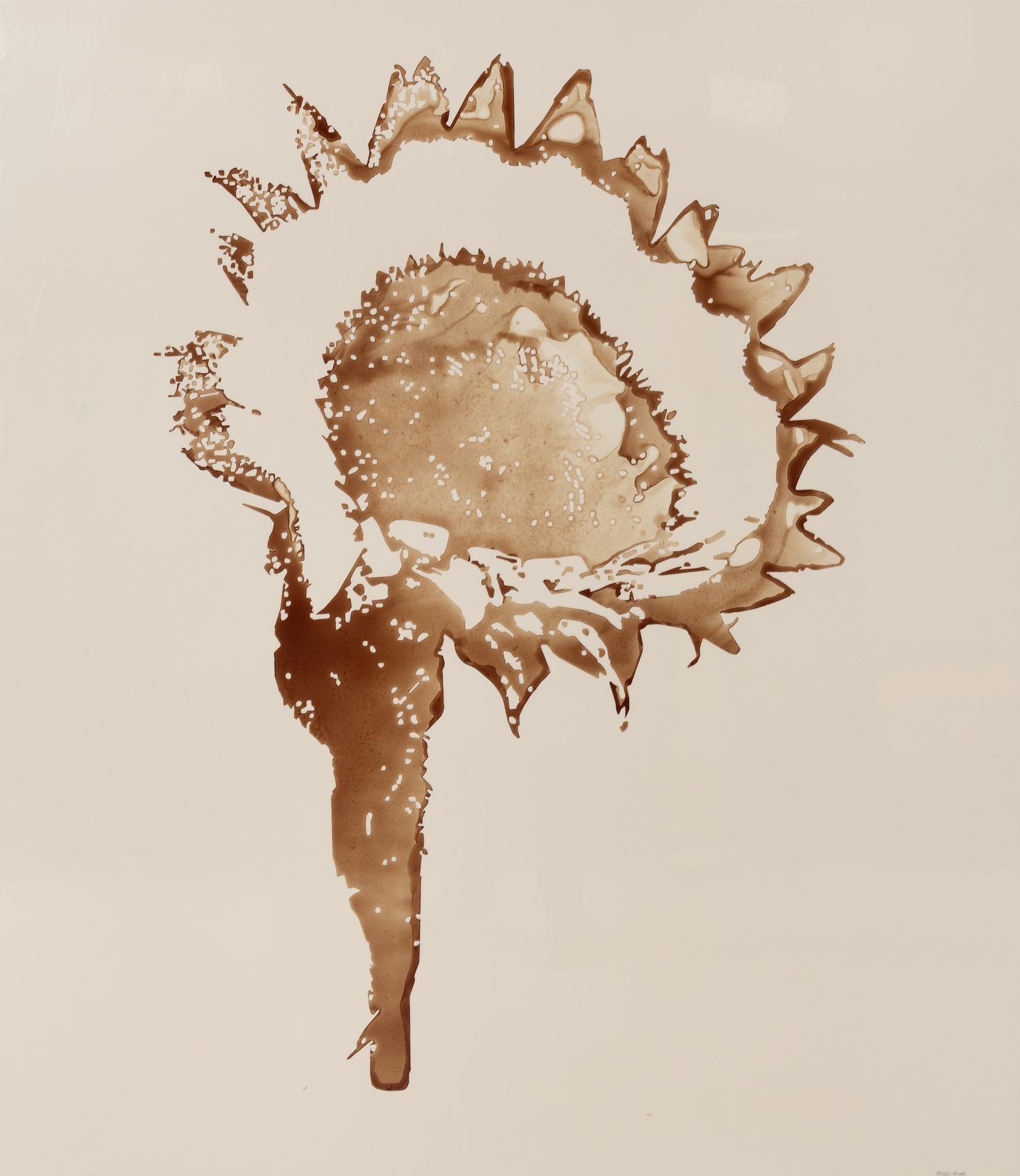 Sunflower #6, 2003
