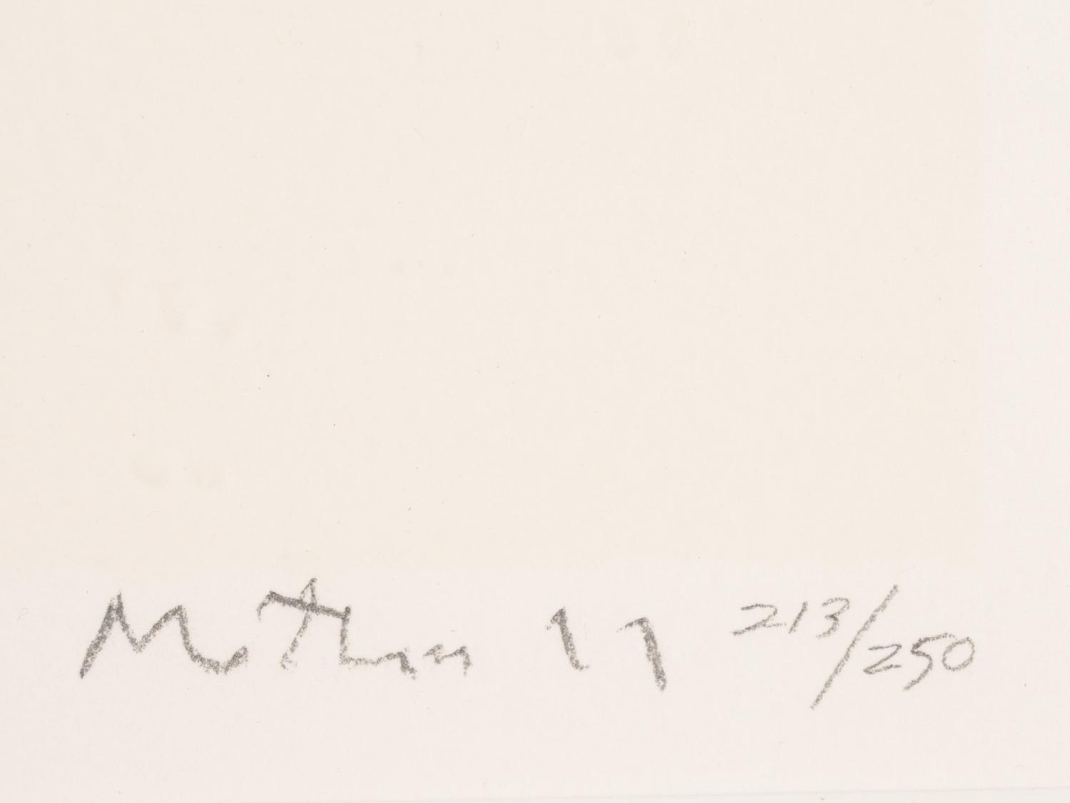 Untitled (from the Flight portfolio)