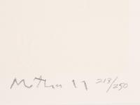 Untitled (from the Flight portfolio)