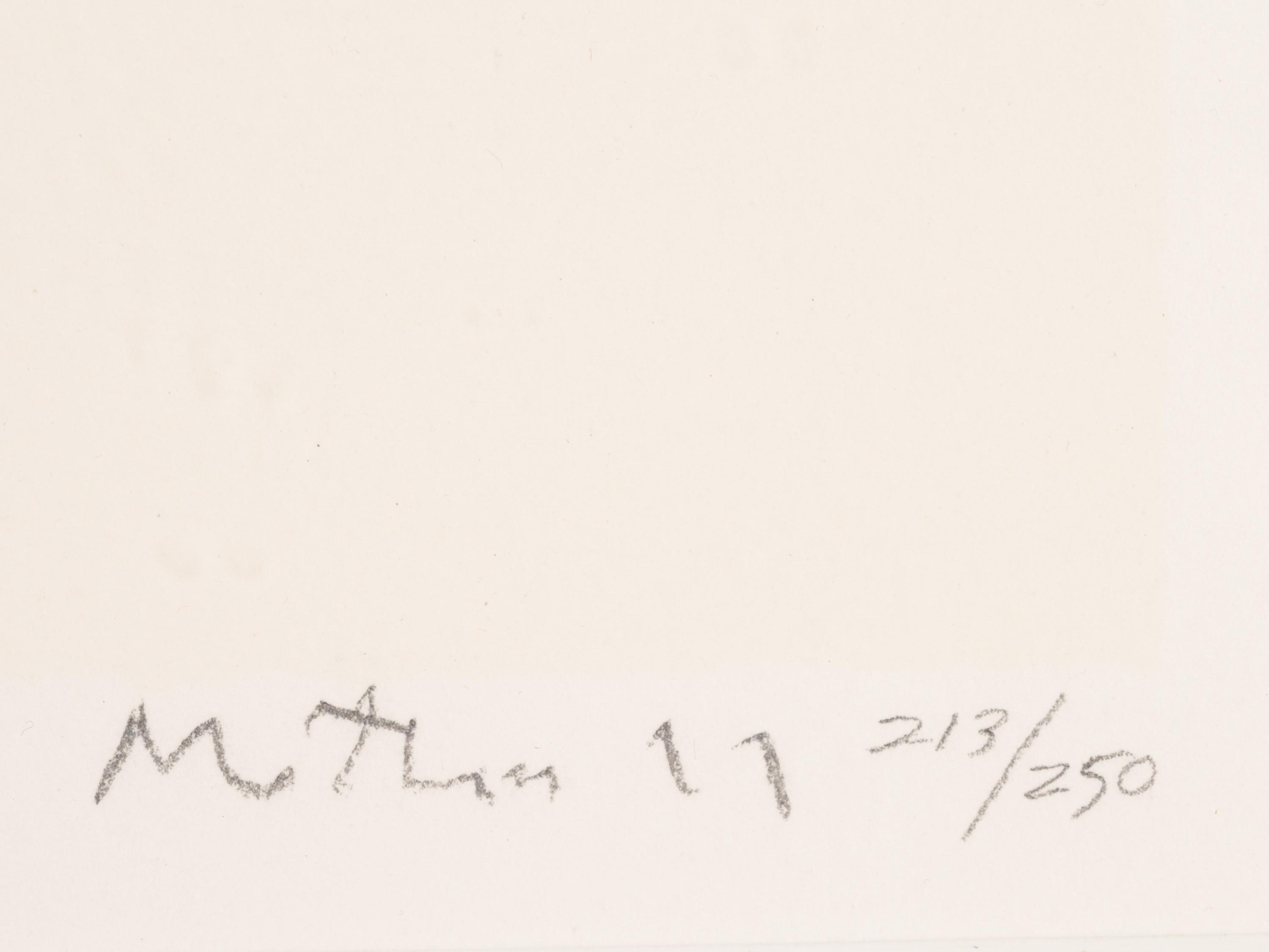 Untitled (from the Flight portfolio)