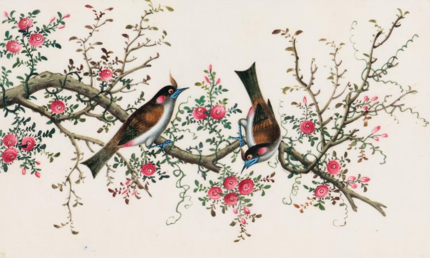 A Set of Twelve Chinese Export Watercolor and Pith Paintings of Exotic Birds