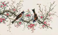 A Set of Twelve Chinese Export Watercolor and Pith Paintings of Exotic Birds
