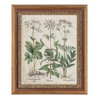 A Group of Five Framed Hand-Colored Botanical Engravings