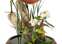 A Carved and Painted Shore Bird in Naturalistic Setting