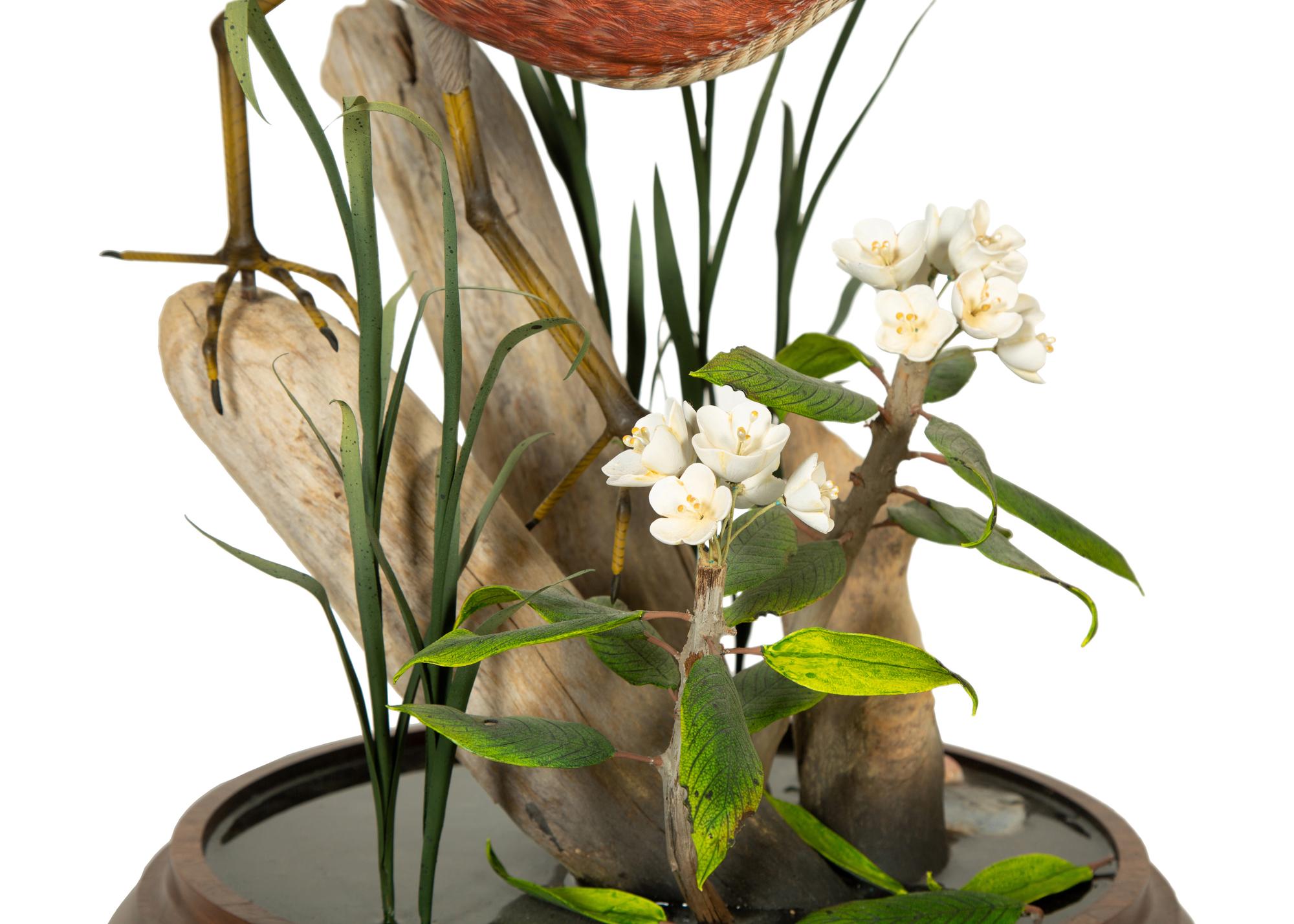A Carved and Painted Shore Bird in Naturalistic Setting
