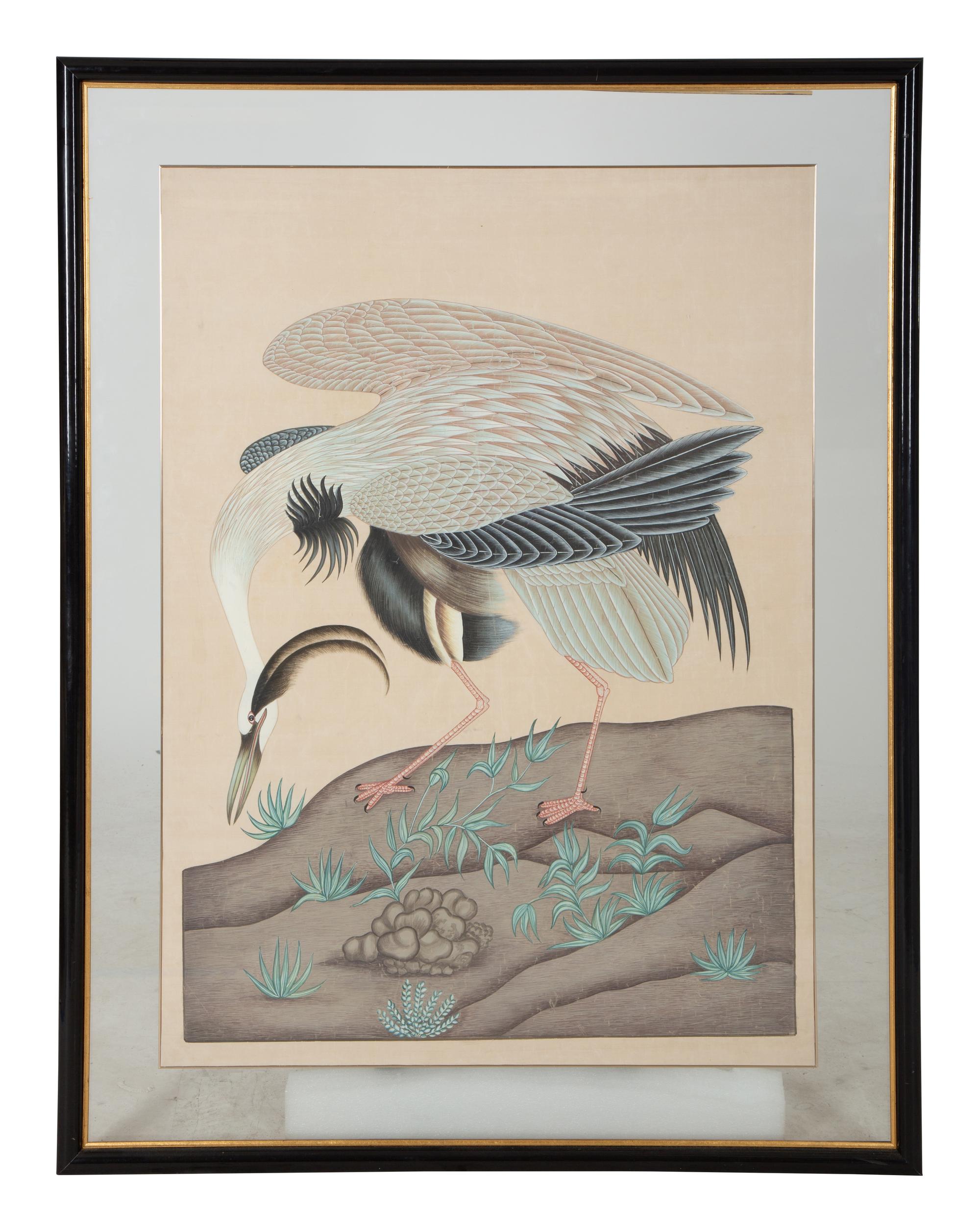 Two Chinese Paintings of Exotic Birds in Floating Glass Frames