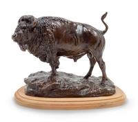 The Dakota Buffalo #6/48