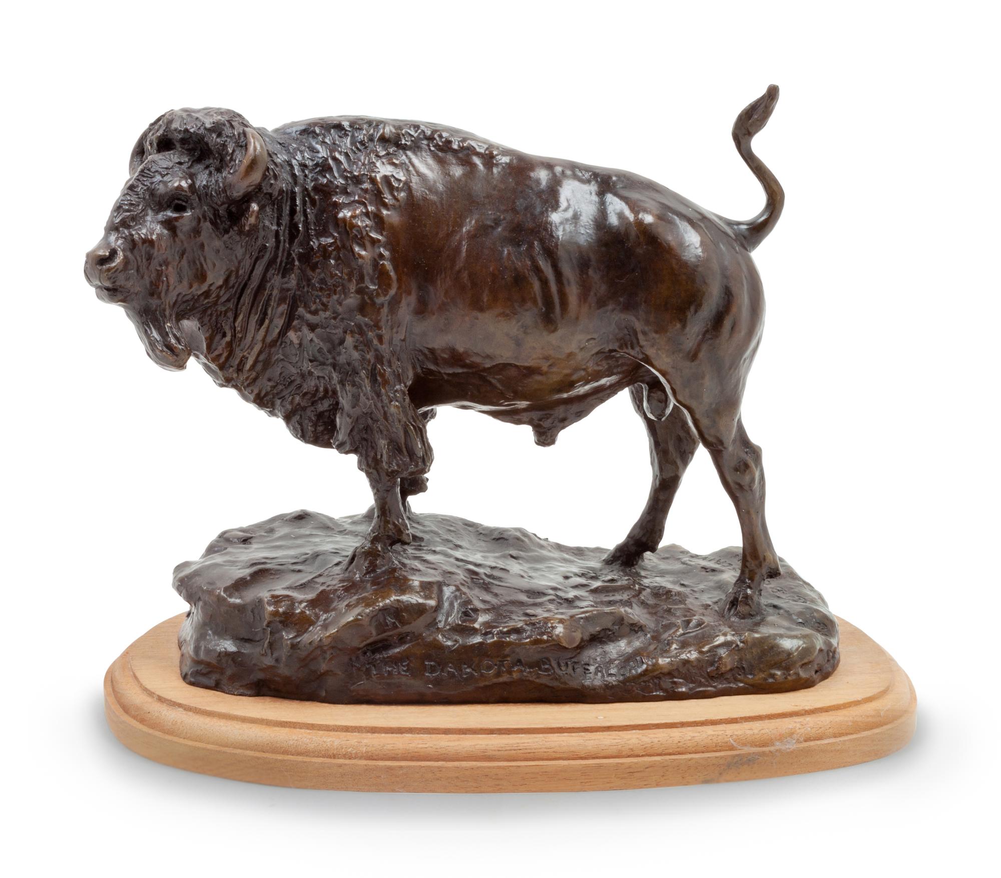The Dakota Buffalo #6/48