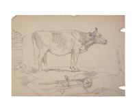 Farm Animal Studies: F older of Eighteen (18) Pencil Drawings